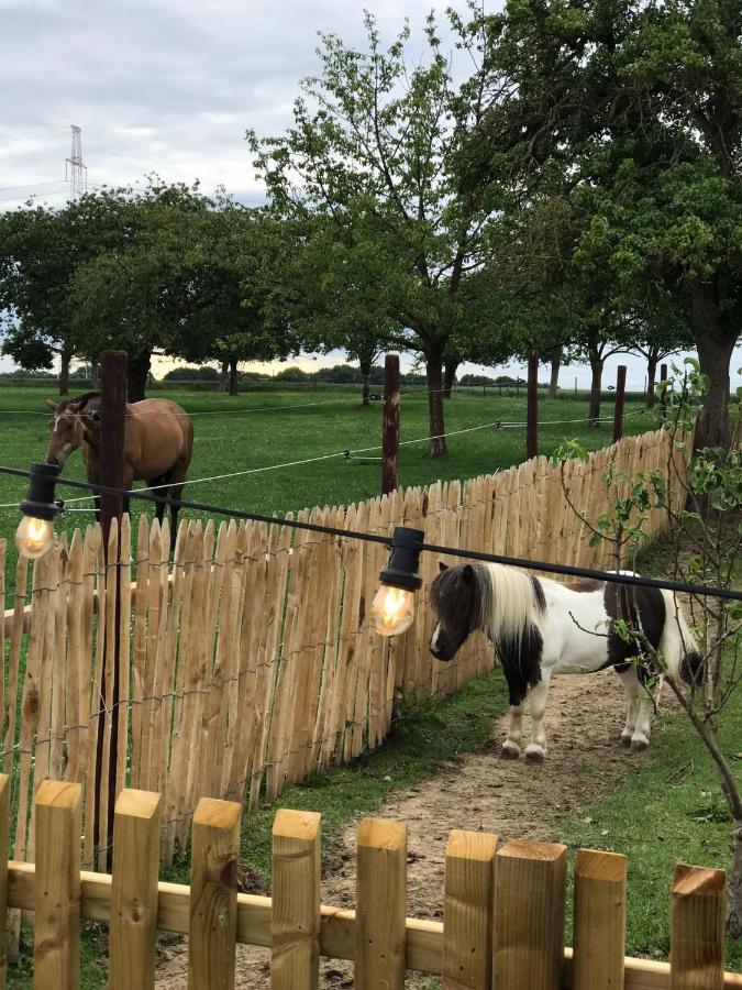 Tussen De Paarden @ De Hoeveschuur Riemst Extérieur photo